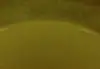 Amarillo verdoso