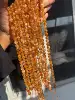 Amarillo dorado