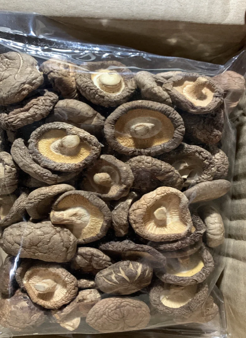 Thailand Export Dried Mushroom Dehydrated Shiitake Mushroom For Sale