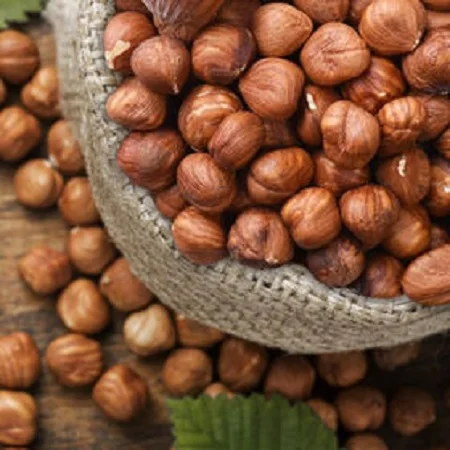 Hazelnuts 5.jpg