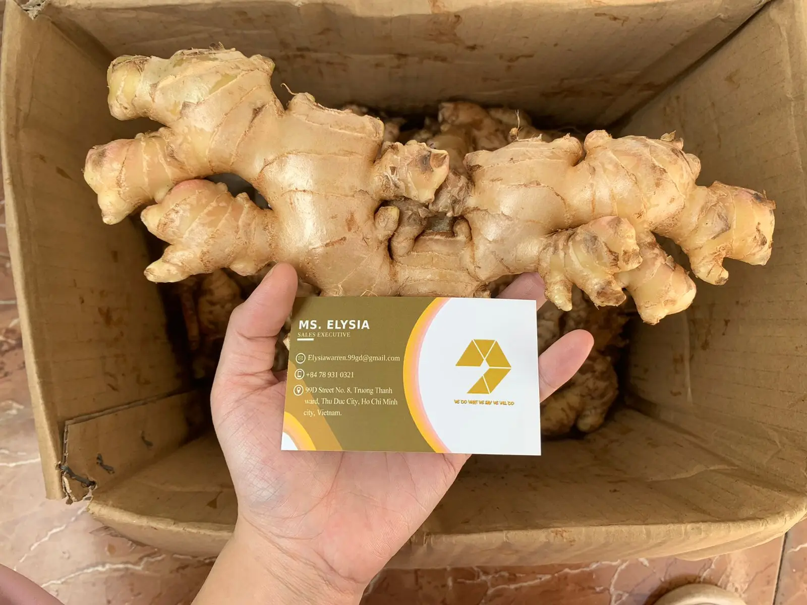 Fresh Organic Ginger 2024 Season Aa Grade Ginger Premium Quality Export