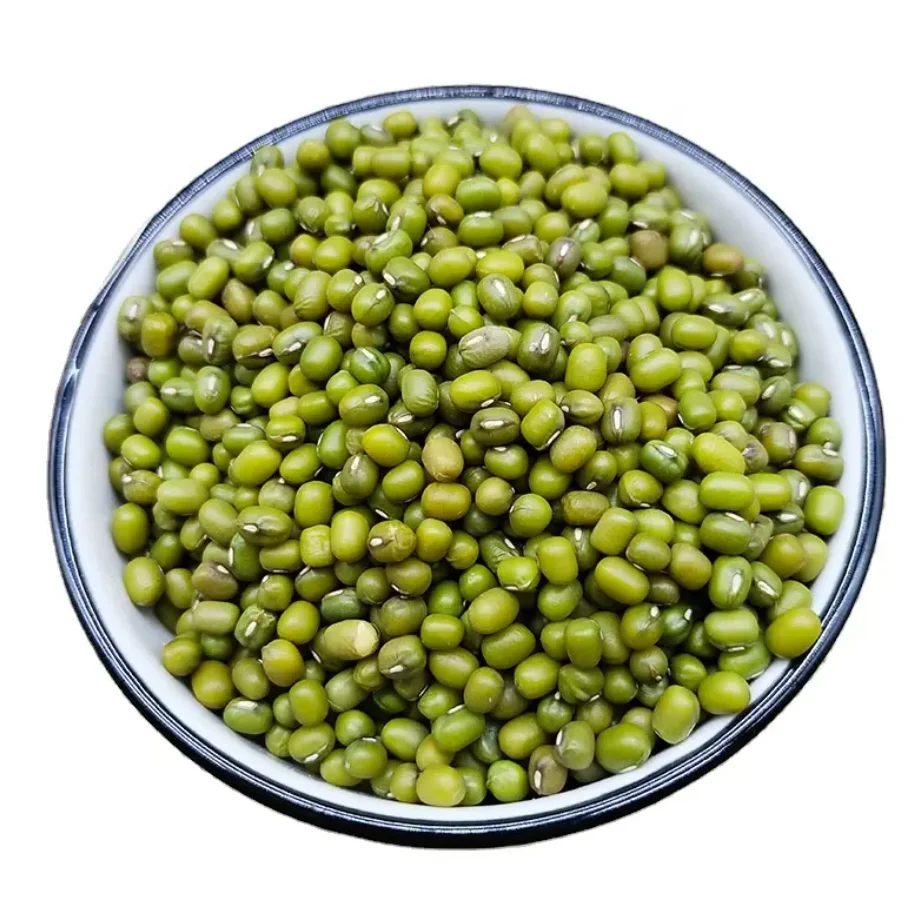 Mung Beans Good Quality Green Mung Beans Wholesale Price for export Philippines