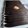 Weft 01