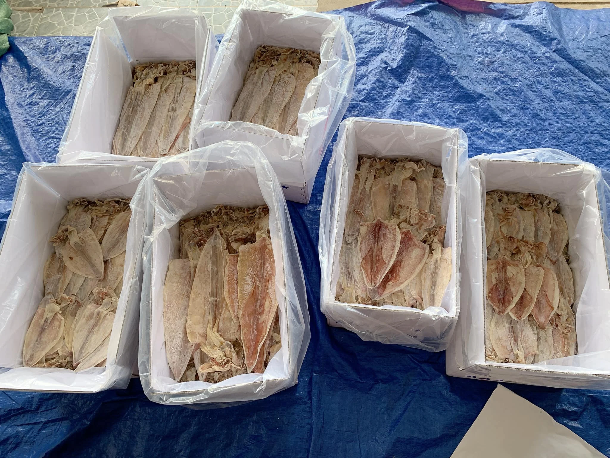 Dried Squid Dry Squid Dried Calamari Premium Grade Cuttlefish Buy