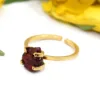 Red Garnet