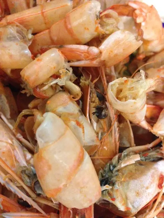 High Quality Dried Shrimp Shell Powder From Vietnam With Animal Feed At