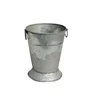 Galvanized