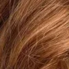 Cool Brown #33H
