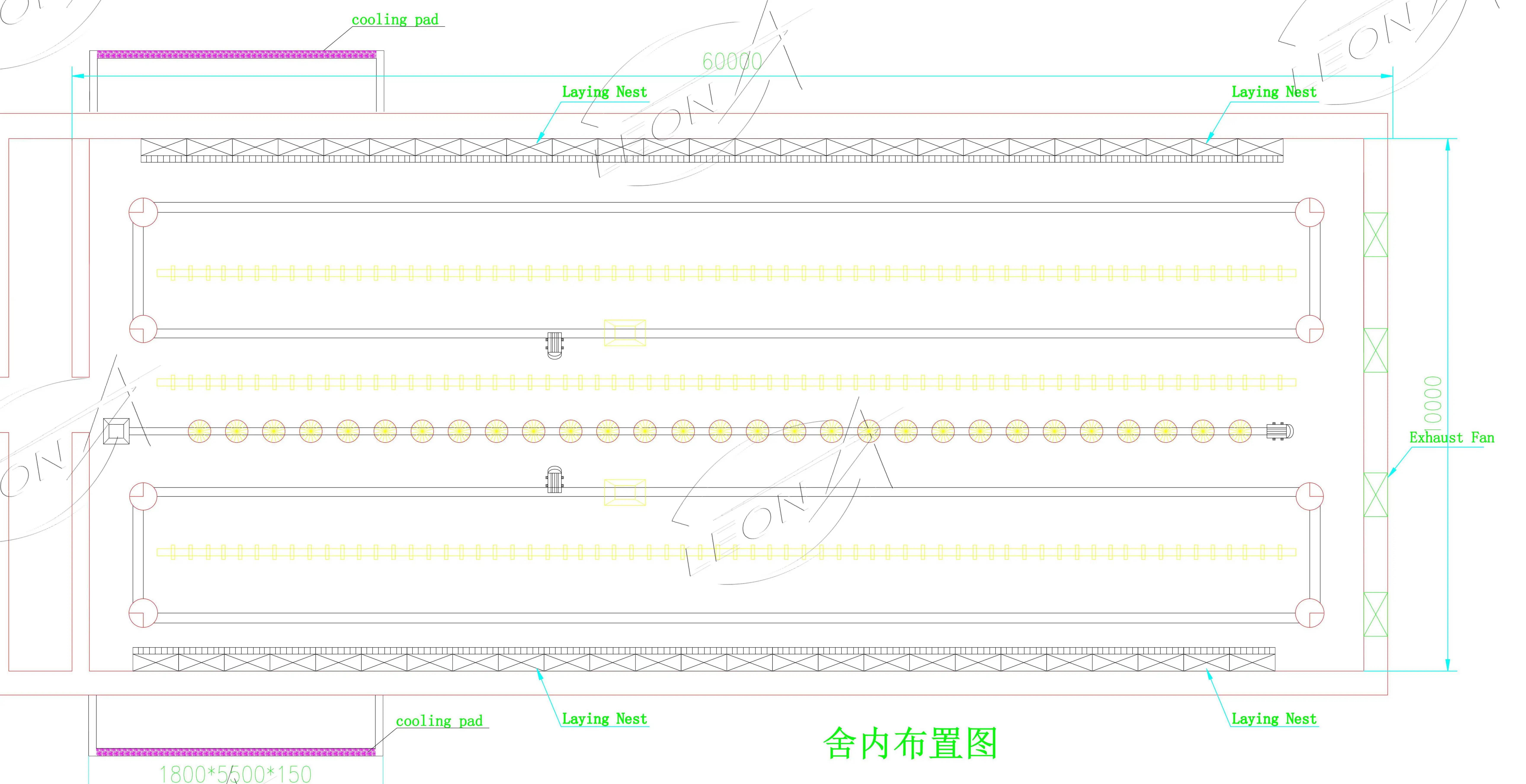 Automatic Chicken Chain Feeding System Poultry Feeder Chain Automatic ...
