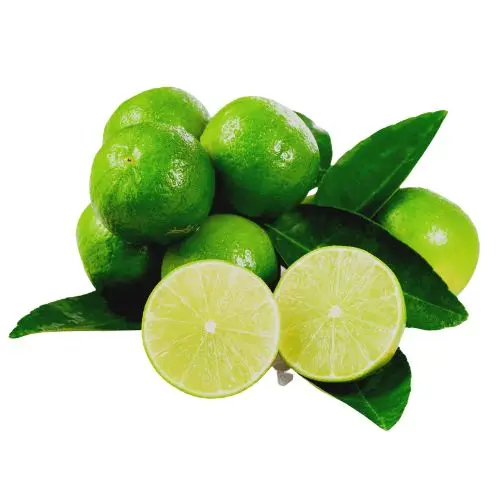 Seedless Organic Lime Fruits Natural Seedless Green Lemon For Sale