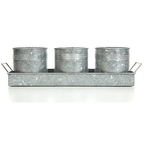 Vintage Galvanized Metal Watering Cane With Handle Home Garden Decoration Luxury Water Cane Planter for Sale in Wholesale Price