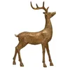 As Shown