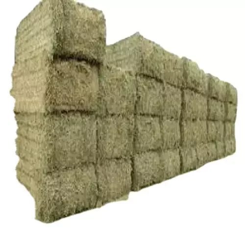 Alfalfa Hay For Animal Feed Ready To Deliver Buy Horse Hay Feeders