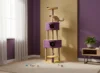 Purple&Yellow