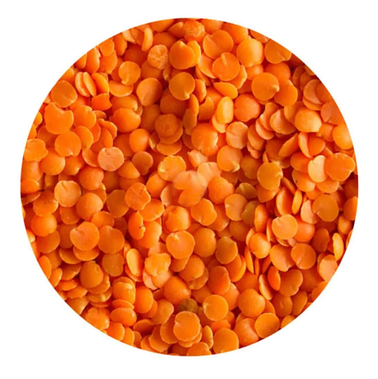 High Quality Organic Canadian Red Lentils / Split Red Lentils Available