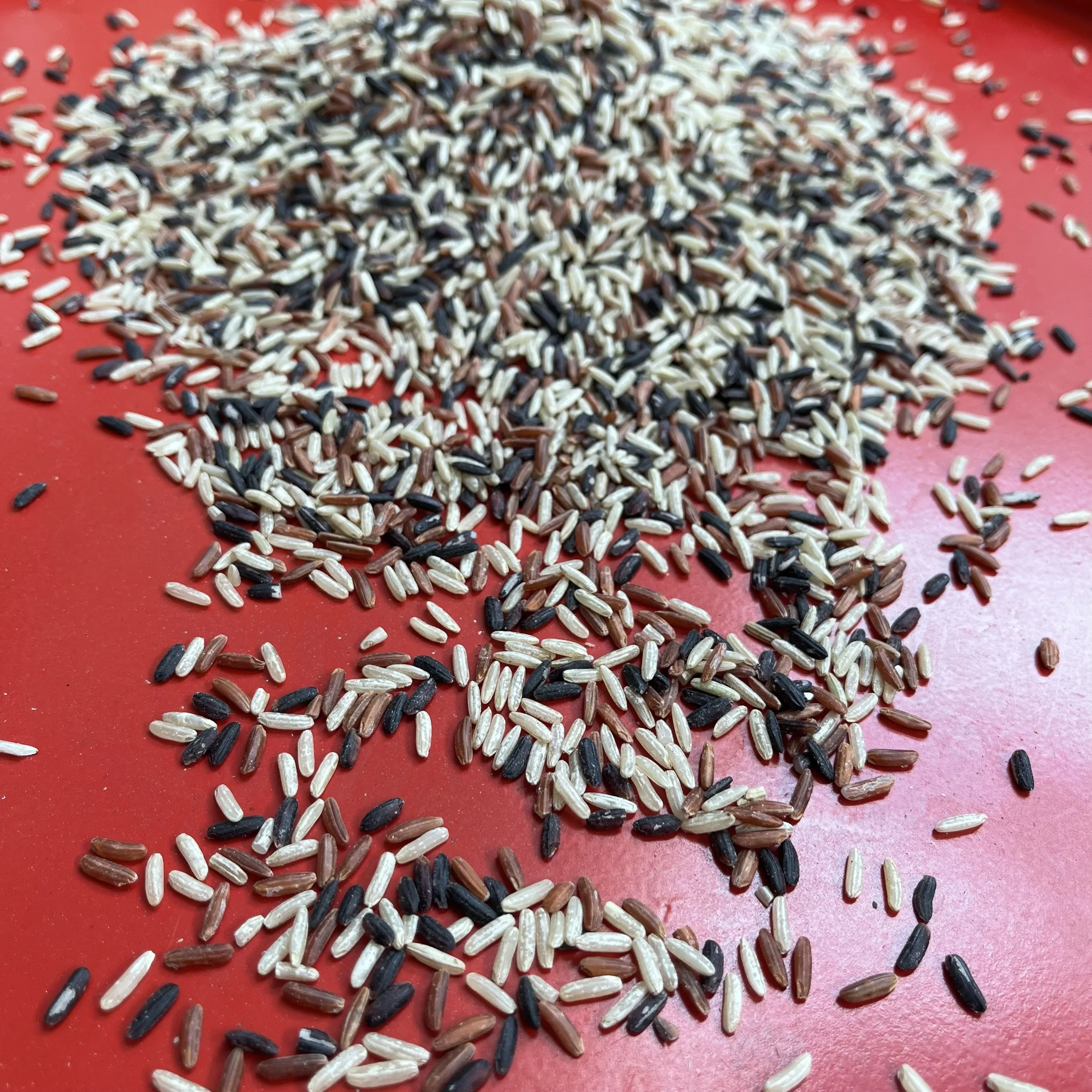 Вьетнам мультизерновой смешанный рис Здоровое питание оптовая цена от поставщика риса