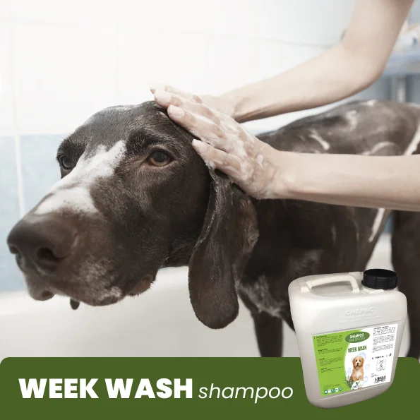 Top Quality Made In Italy Natural Formulation Week Wash Gentle Shampoo