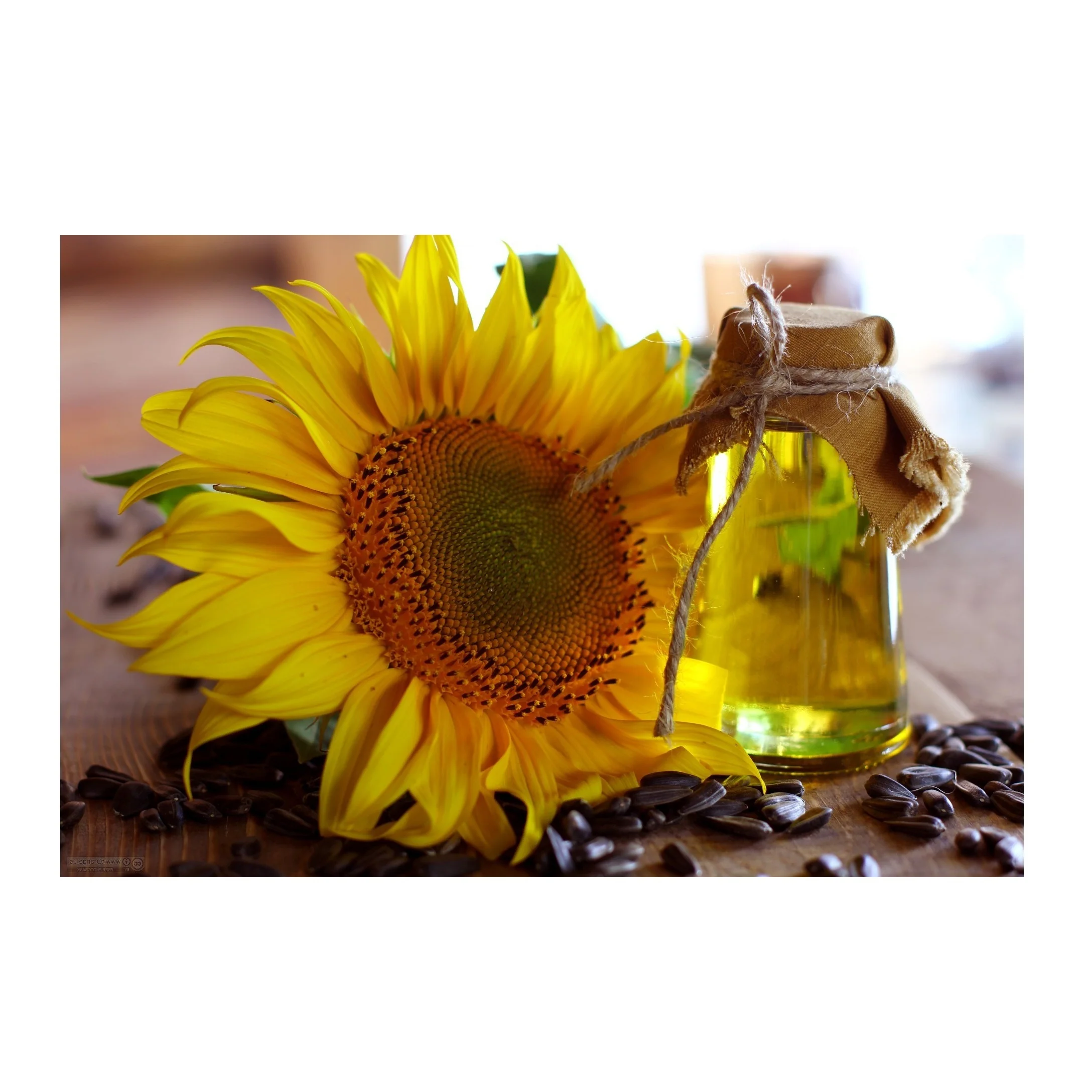 Sunflower Oil Rich 100 Pure Sunflower Oil Is Extracted Refined