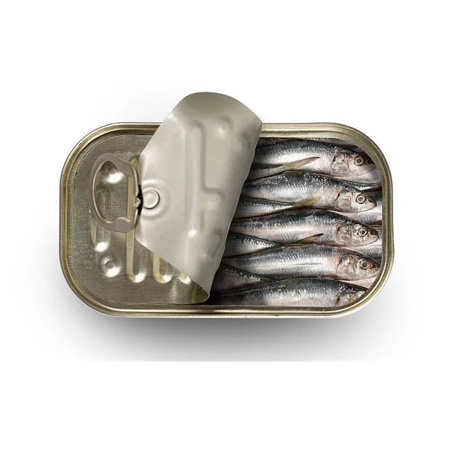 Wholesale Price Canned sardine fish in vegetable oil Bulk Stock Available For Sale