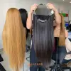 Wig 01
