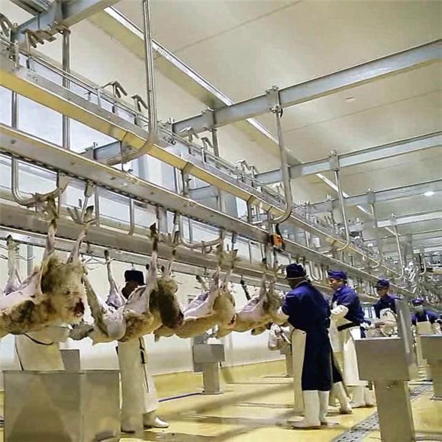 Sheep goat automatic slaughtering and meat processing production line halal compliant slaughterhouse equipment