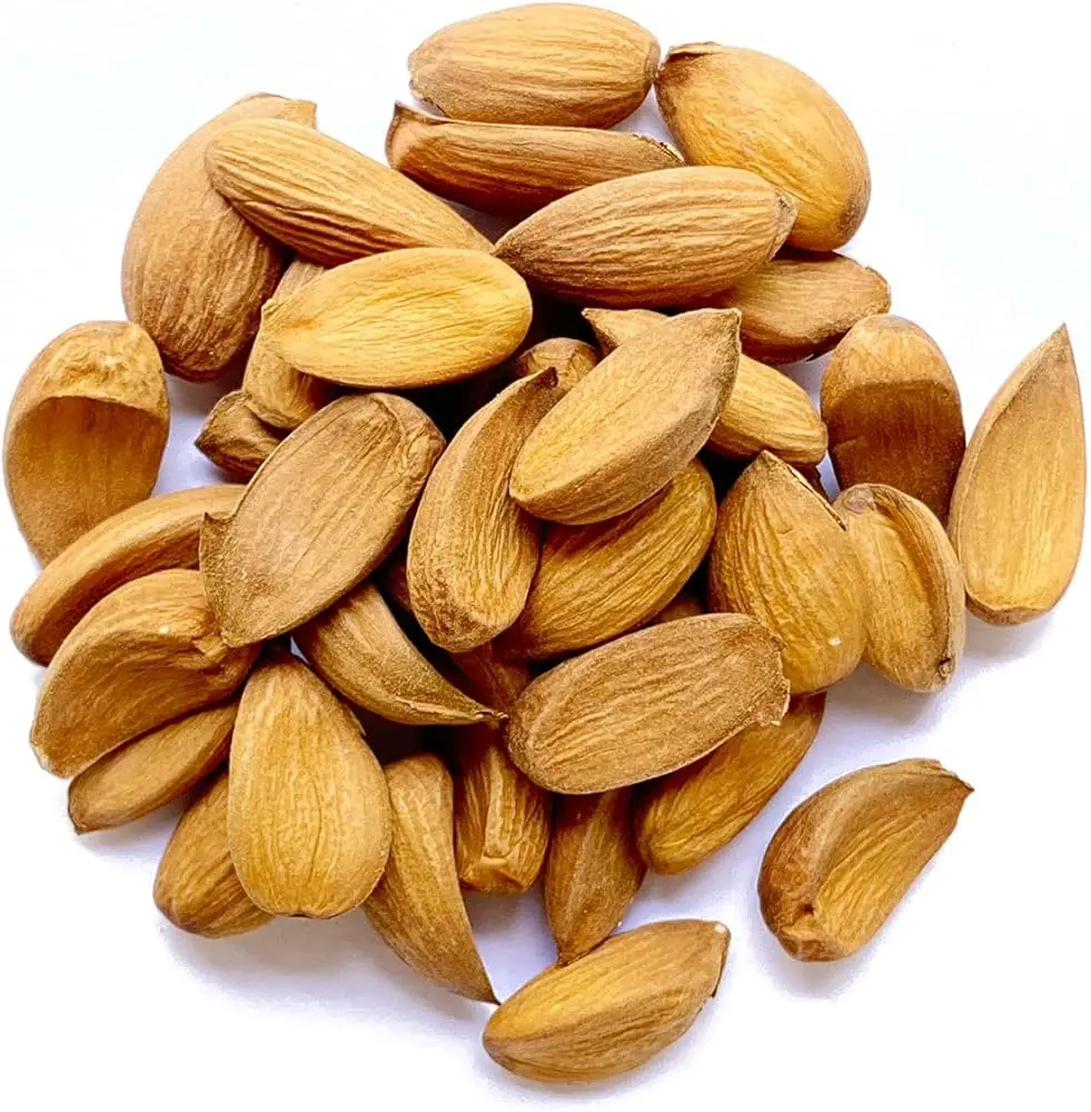 Wholesale High-quality 100% Pure Natural Raw Dry Fruits Almond Nuts in Bulk for Food Use
