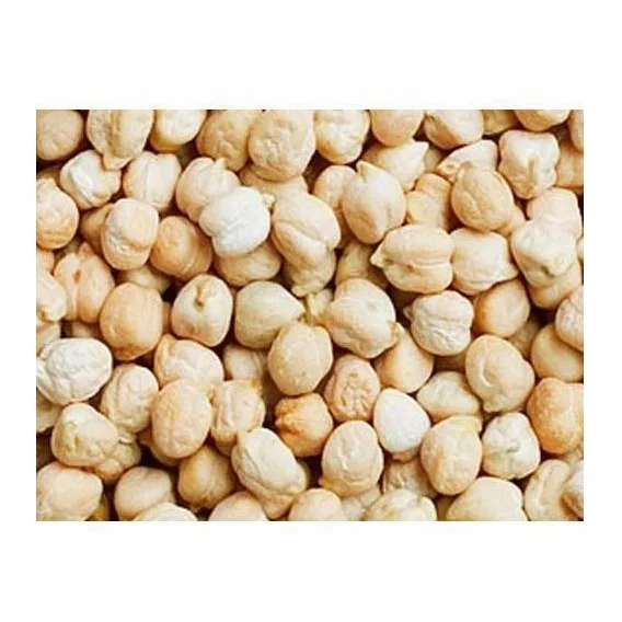 Здоровый сушеный зеленый нут коричневый гарбанзо бобы Кабули Нут