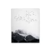 White, Black