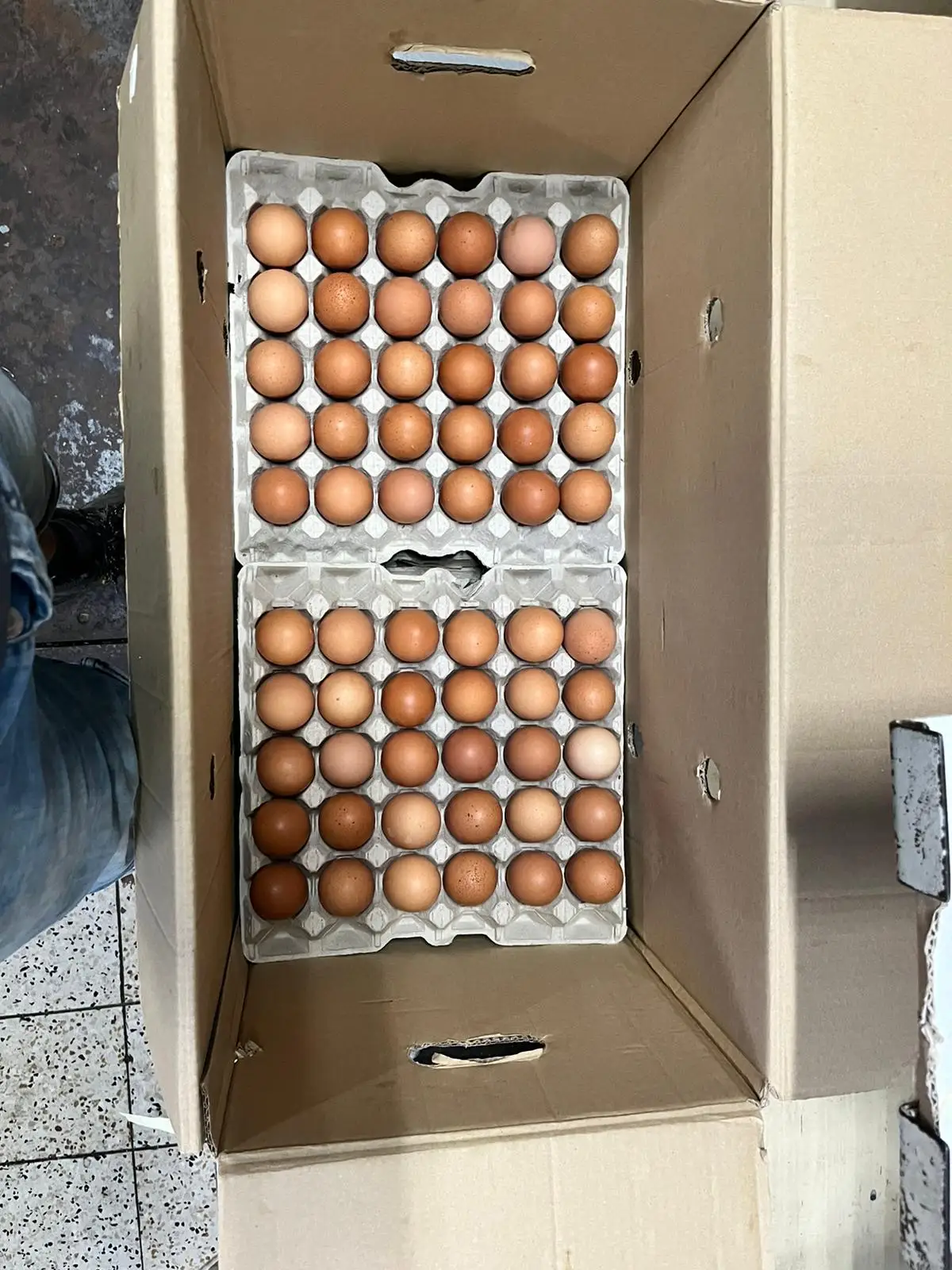 Farm Fresh Chicken Table Eggs Brown And White Fresh Brown White Table