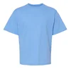 Carolina blue