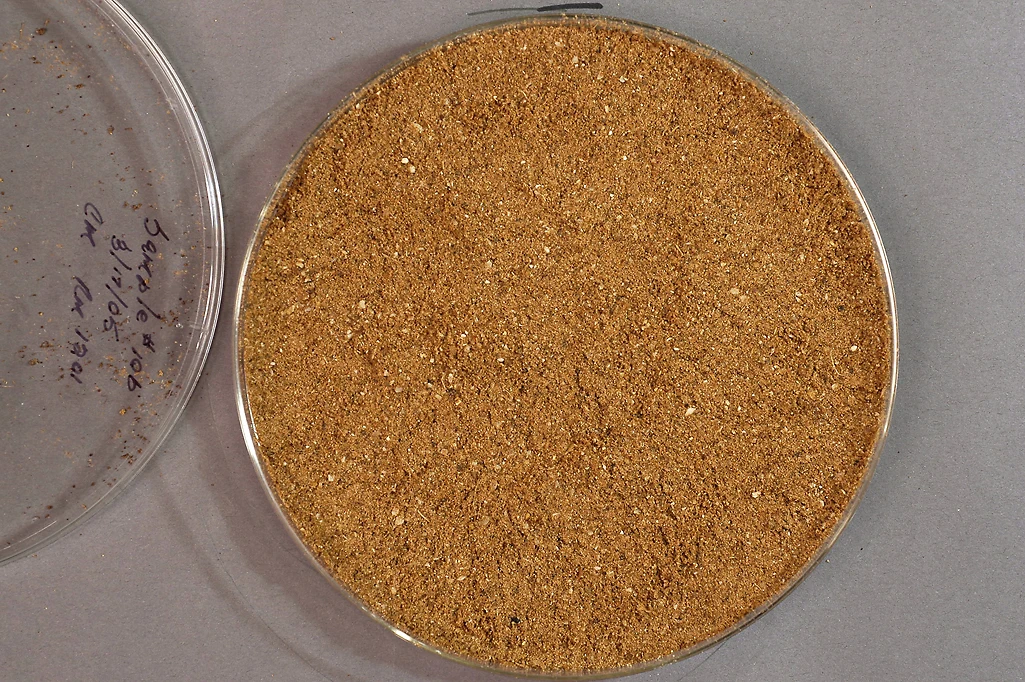 High Protein Meat And Bone Meal The Producer Of Feed Grade Mbm Meat And