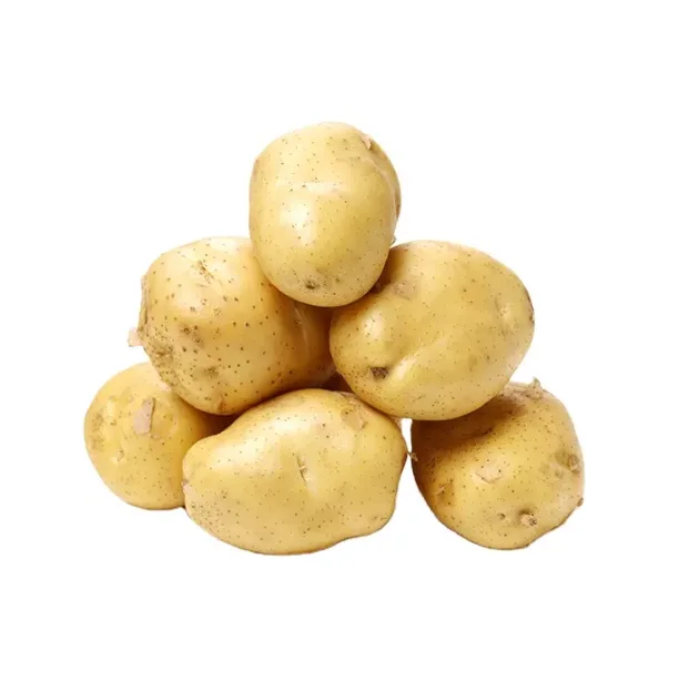 1.PNG