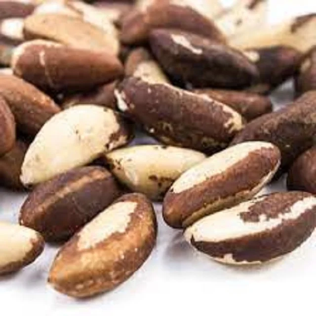 2023 Whole Raw Brazil Nut With Shell Uncracked For Sale 100 Buy