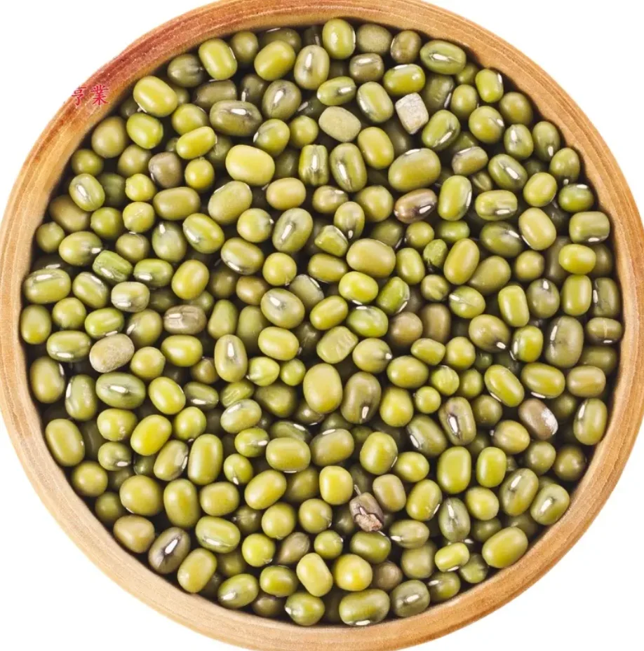 Mung Beans Good Quality Green Mung Beans Wholesale Price for export Philippines