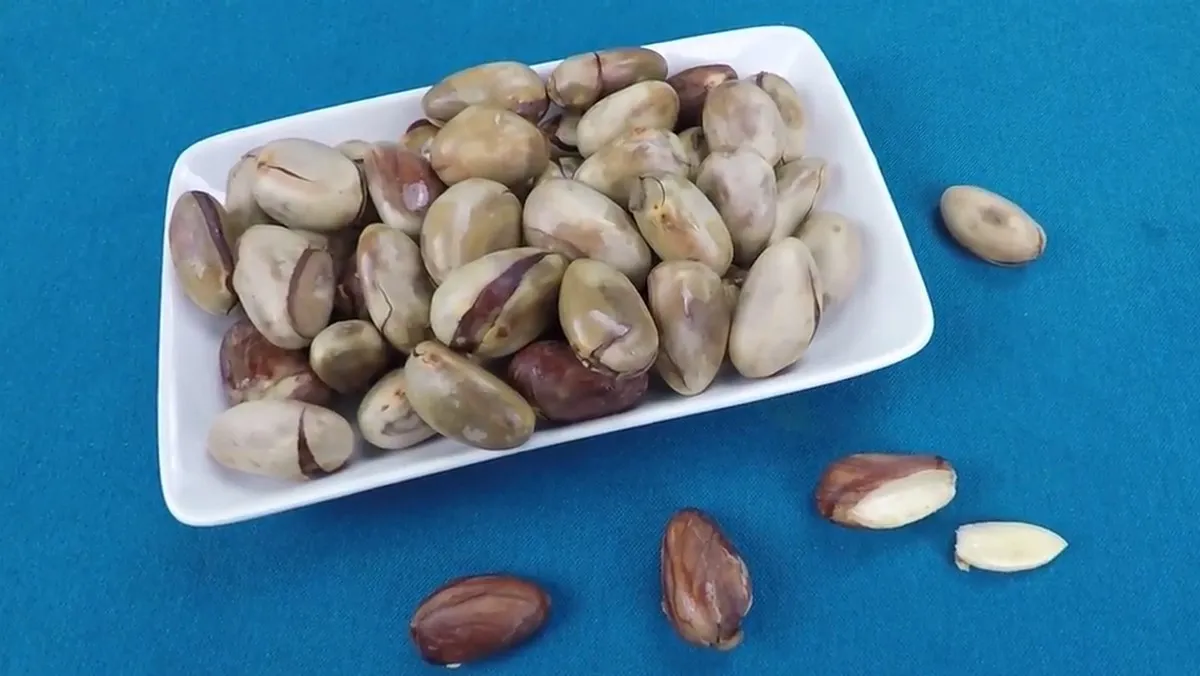 Large Quantities Export Dried Jackfruit Nut At Competitive Price Buy