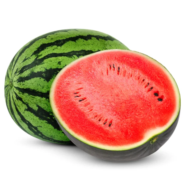 High Quality Fresh watermelon Best Price