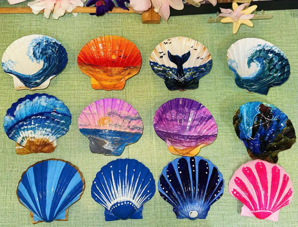 Coquillages Naturels Pour Art Et Artisanat - Cowrie Du Japon - Occasion, Pièces Uniques