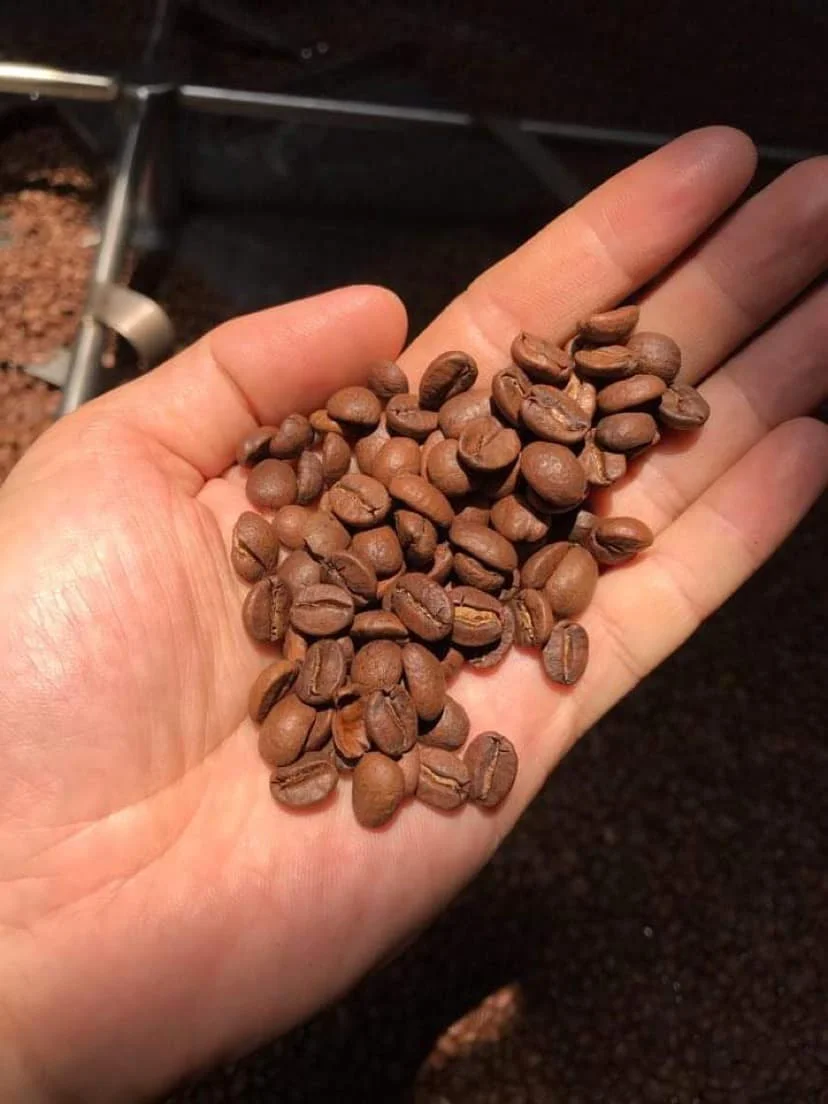 Arabica Whole Coffee Beans From Vietnam 100 Natural Buy Arabica