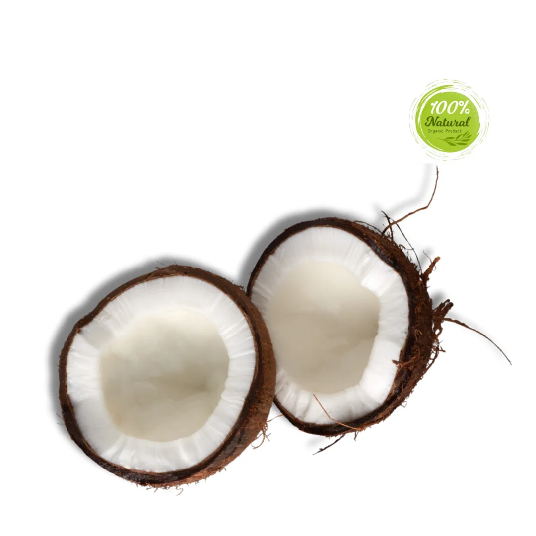 Exploring the Nutritional Value of Dried Coconut
