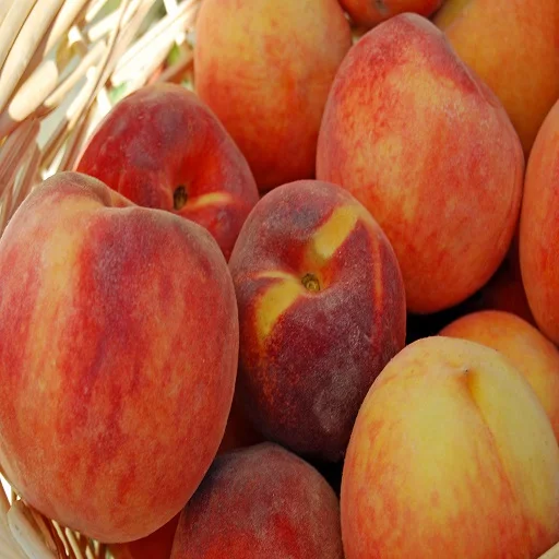 Fresh Peaches Buy Fresh Fruit Peach Fresh Peaches Nectarine Red Peach