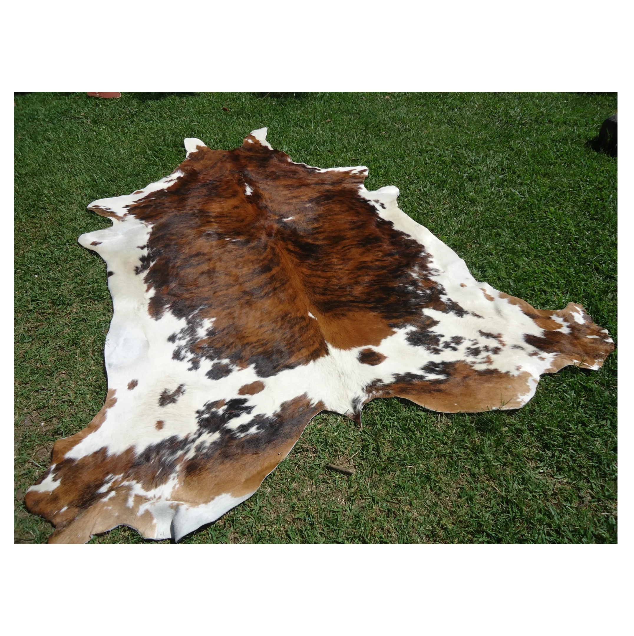 Dry And Wet Salted Cow Hides / Skins / Animal Cattle Hides Available Here At Best Wholesale
