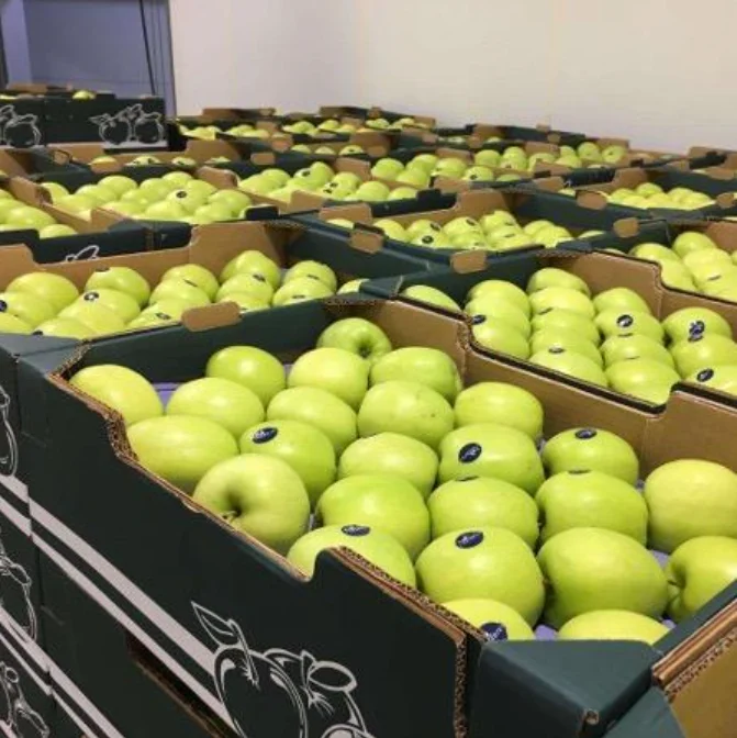 Fresh Harvest, Naturally Sweet and Healthy Apples from UK