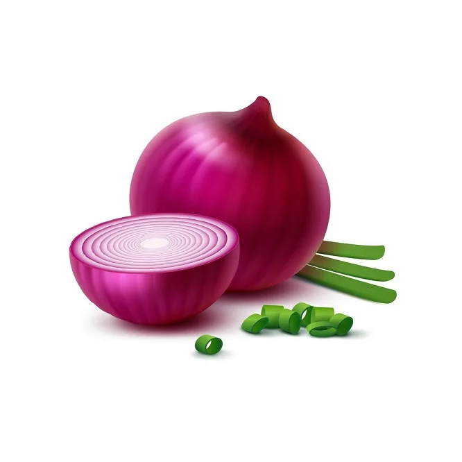 Fresh Onion Red Onion / Gold Onion High Quality Best Price Buy