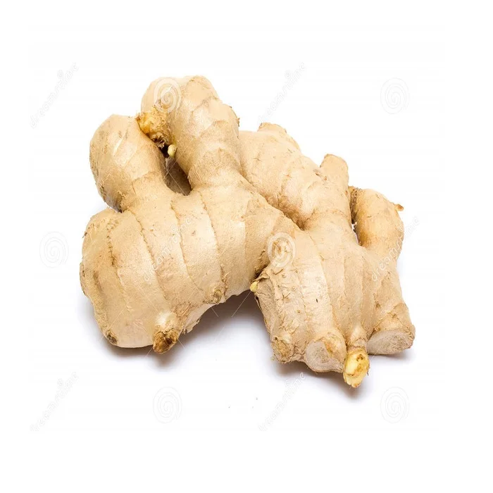 Оптовая продажа имбиря экспорт новый урожай Свежий имбирь Лучшая цена Тайланд имбирь хорошего качества