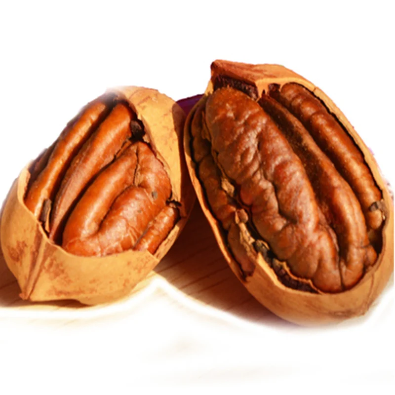 Agricultural Farm Price Pecan Nuts Ready Available/ Raw Pecan/ Shifted ...