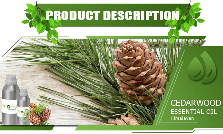 Gmp Certified Premium Quality 100 Pure And Organic Cedarwood Oil From