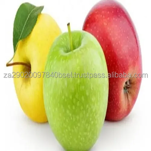 apples (2).jpg
