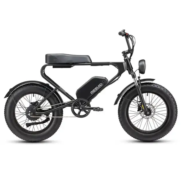 MEELOD DK200 the Best Entry-level Moped Style Ebike