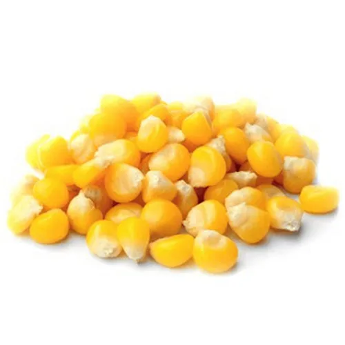 7 (1).png