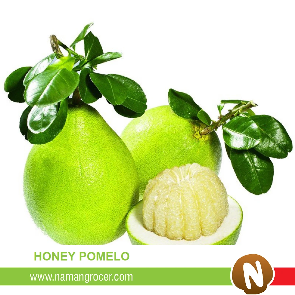 Top Grade Pomelo Premium Grapefruit Fresh Honey Pomelos 100 Natural Cultivation Type Shaddock